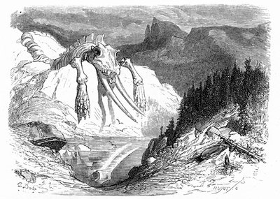 1850年頃のギュスターヴ・ドーレの版画：黙示録的な大洪水の後、様々な怪獣が山に落下した様子を想起させる。イポリット・テーヌの著書『ピレネーへの旅』の挿絵。 作： Gustave Dore