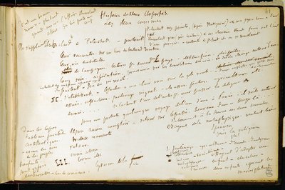 ワークブックのフォリオ41 n. 19 Gustave Flaubertの草稿のページ。BouvardとPecuchetのプラン。BHVP。 作： Gustave Flaubert