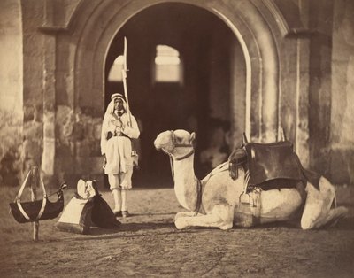 横になっているラクダ、1866年頃（グラビア） 作： Gustave Le Gray