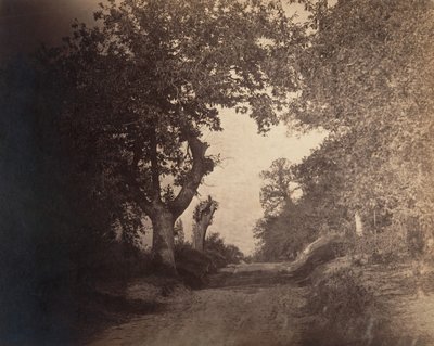 フォンテーヌブロー、上り坂の砂の道、カリフォルニア州。 1856年。 作： Gustave Le Gray