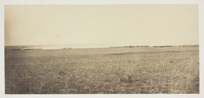 無題 作： Gustave Le Gray