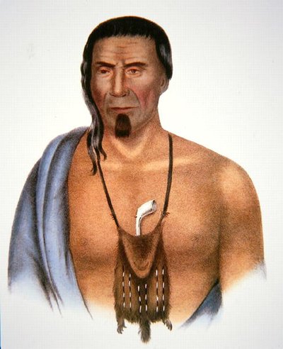 ティシュコハン、1735年頃（カラーリトグラフ） 作： Gustavus Hesselius