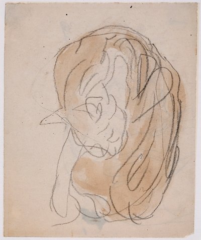 猫の習作（水彩、鉛筆、紙） 作： Gwen John