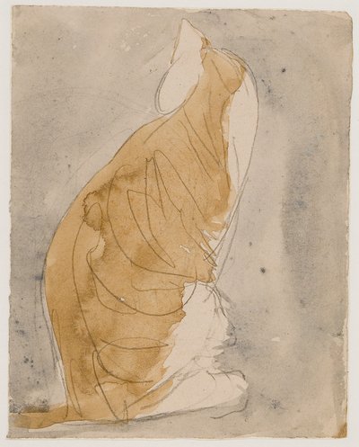 猫の習作 （水彩、鉛筆、紙） 作： Gwen John