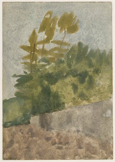 木（紙に水彩、ガッシュ、鉛筆） 作： Gwen John