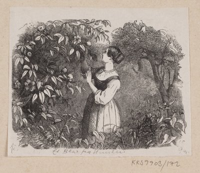 H.C. の「A Leaf from Heaven」のイラスト アンデルセン「おとぎ話と物語」第2巻 作： H.P. Hansen