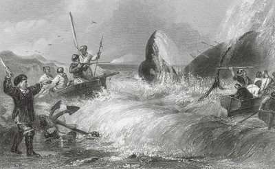 岸辺のクジラ（エングレーヴィング） 作： H. Melville