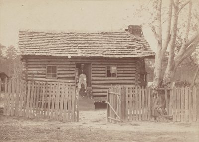 1880 年代、ジョージア州の丸太小屋の前にいる女性と 2 人の子供の卵白プリント。 作： H. S. Clark