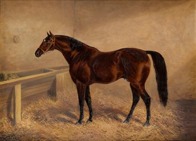 ウェンロック：ルーズボックスに入った湾の競走馬、1881〜1903年頃（キャンバスに油彩） 作： H. Whittaker Reville