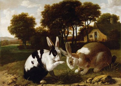 風景の中の2匹のウサギ、1650年頃 作： Haarlem School
