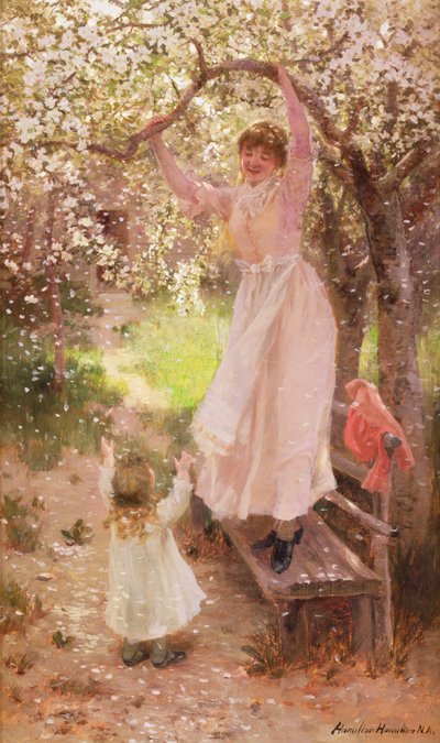 落ちるリンゴの花 作： Hamilton Hamilton