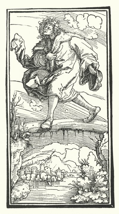 ペトラルカの『De Remediis Utriusque Fortunae』からの木版画（彫刻 作： Hans (after) Burgkmair