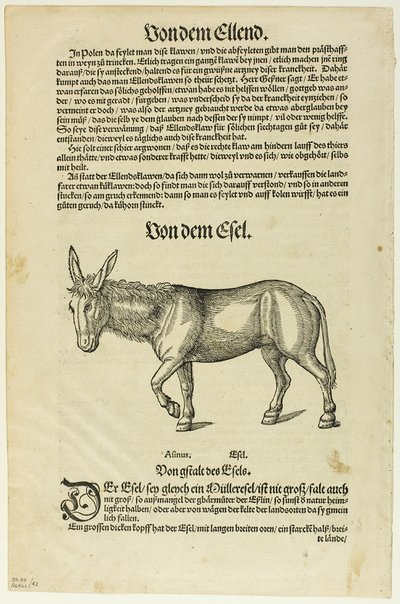 挿絵：『ティエルブッフ』、「16世紀の書物からの木版画」第42版より 作： Hans Asper