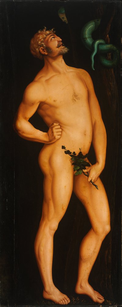 アダム 作： Hans Baldung