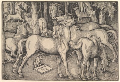 7頭の馬のグループ、1534年。 作： Hans Baldung