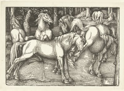 6頭の闘馬の群れ 作： Hans Baldung Grien