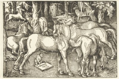 7 頭の馬と 1 匹のサルのグループ 作： Hans Baldung Grien