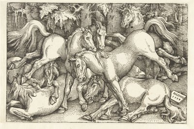 7頭の闘馬の群れ 作： Hans Baldung Grien