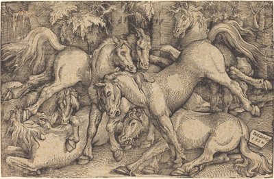 森の中の 7 頭の馬のグループ 作： Hans Baldung Grien