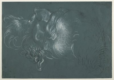 左上から見た使徒の頭部。 作： Hans Baldung Grien