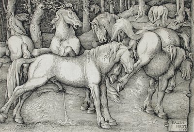 森の中で、野生の馬の群れの中にいる種馬と、蹴り上げようとする牝馬 作： Hans Baldung Grien