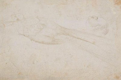 楽園のオスの鳥と左に横顔の中年男性の頭。 の詳細も 作： Hans Baldung Grien