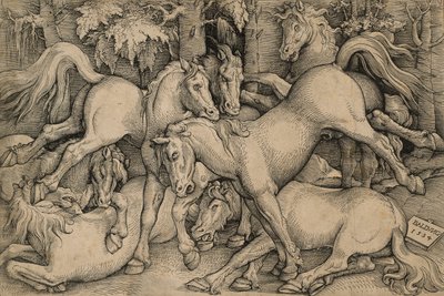 野生の馬の戦い 作： Hans Baldung Grien