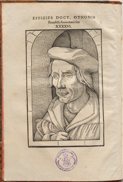 Othon Brunfelsius の注記... 4 つの福音書と使徒の行為... 作： Hans Baldung Grien, Otto Brunfels