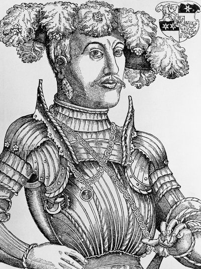 Portrait of Philip I, Landgrave of Hesse, known as the Magnanimous (1504-1567), engraving by Hans Brosamer (1495-1554)   1462025   ja       japanese Successfully Translated  Original: Specimens of Sculpture from St. Stephens Chapel - Plate I Translat: Spec 作： Hans Brosamer
