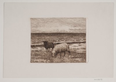 浜辺の羊 作： Hans Christian Gether Caspersen