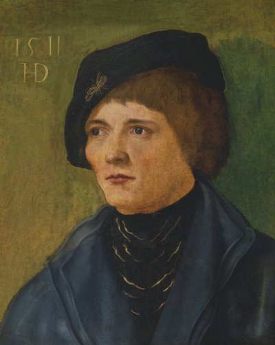 不明な画像 作： Hans Durer