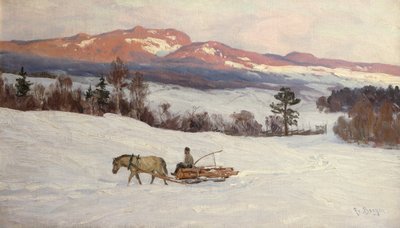打ち込み材 作： Hans Fredrik Henriksen Borgen