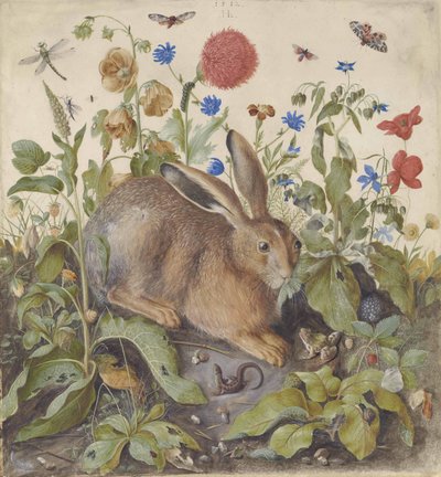 植物のうさぎ、1582 作： Hans Hoffmann