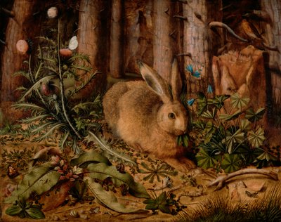 森の中のうさぎ、c。 1585（パネルに油彩） 作： Hans Hoffmann