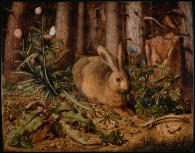 森の野ウサギ、1585年頃 作： Hans Hoffmann