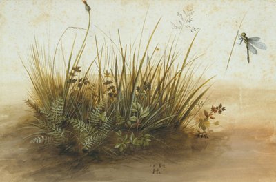 芝生の小片、1584年。 作： Hans Hoffmann