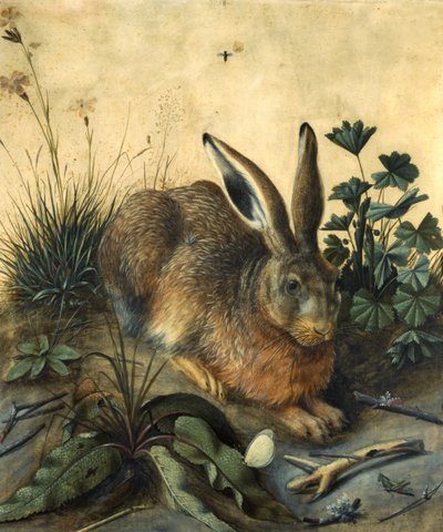 野ウサギ 作： Hans Hoffmann