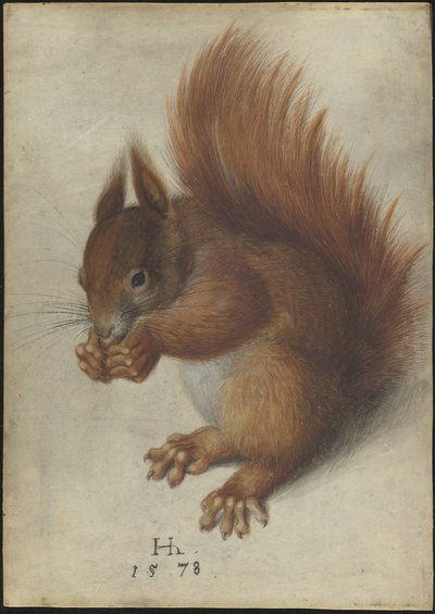 赤リス 作： Hans Hoffmann