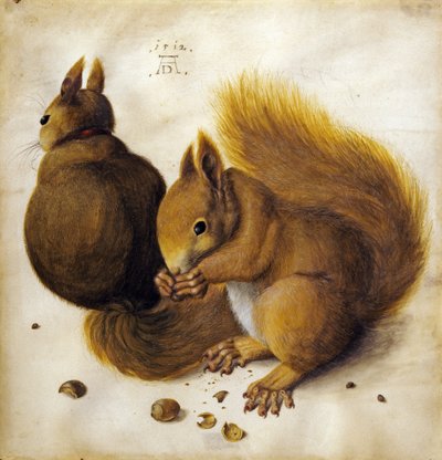 2 つのリス。 作： Hans Hoffmann