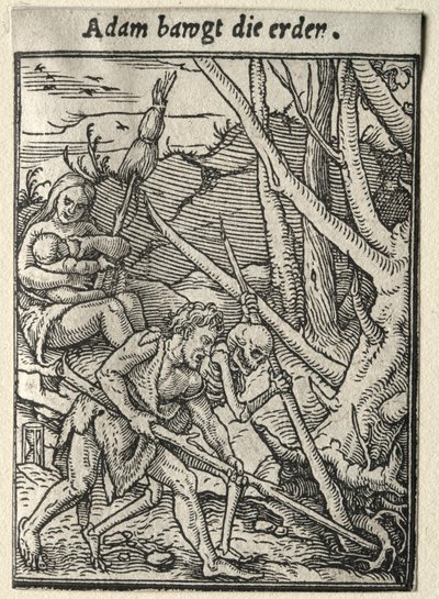 Dance of Death：Adam Tilling the Ground。 作： Hans Holbein
