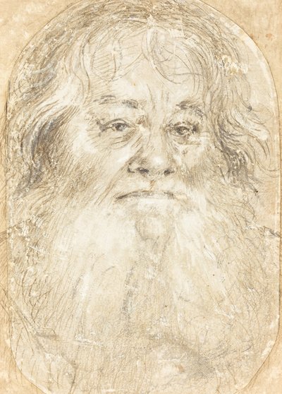 あごひげを生やした男の習作 [裏面] 作： Hans Holbein the Elder