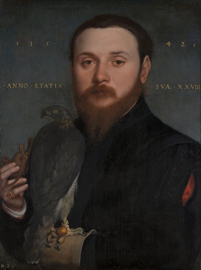 鷹を持つ貴族の肖像、1542 作： Hans Holbein der Jüngere