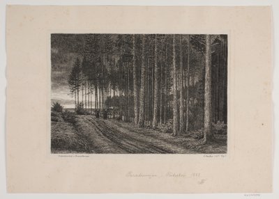 トウヒ林の雨の日 作： Hans Julius Fæster
