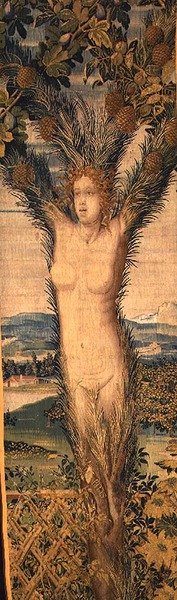ダフネとピティスを描いた一対のタペストリーのうちの一つ 16世紀中頃 (タペストリー) 作： Hans Karcher