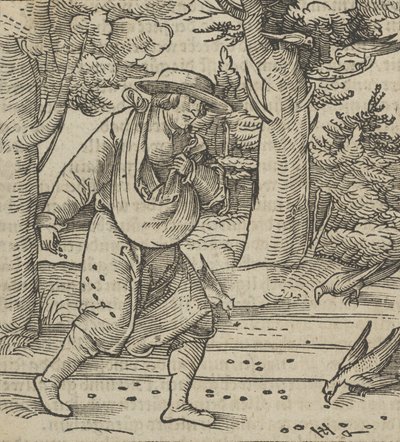 種をまく者の種を食べる鳥、Hymmelwagen auff dem, wer wol Leben..., 1517. 作： Hans Schäufelein the Elder