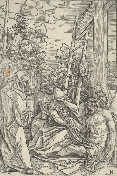 The Life of Christ からの嘆き、約。 1511-12。 作： Hans Schäufelein the Elder