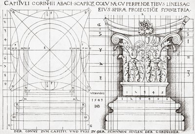 コリント式柱頭の断面図とプロポーション図 作： Hans Sebald Beham