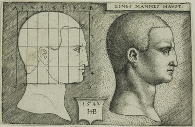 男性頭部の横顔 作： Hans Sebald Beham