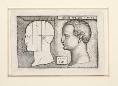 の割合研究 作： Hans Sebald Beham