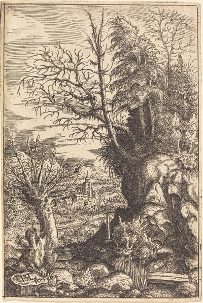 柳のある風景、1553年。 作： Hans Sebald Lautensack